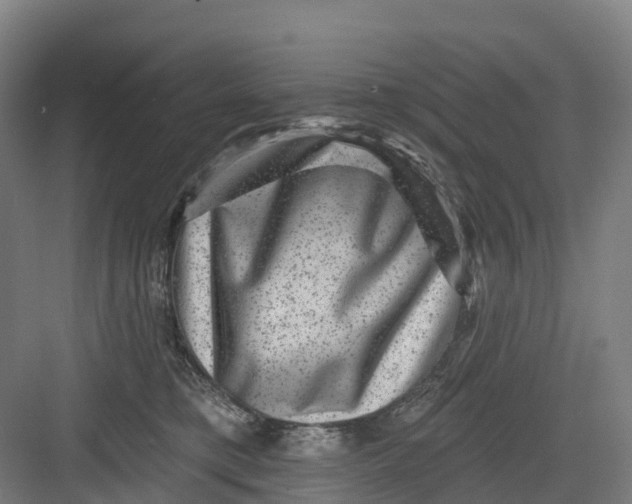 X0000082760421200702162030