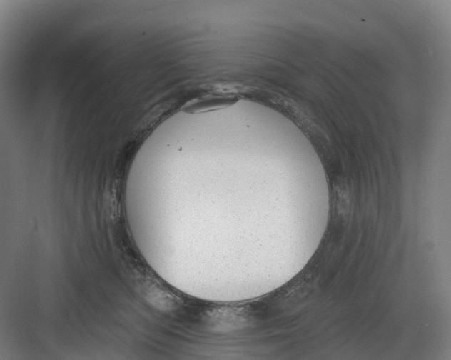 X0000082760422200702162030