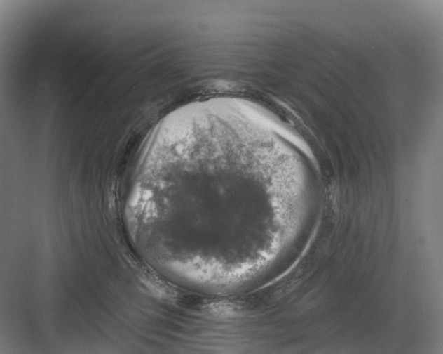 X0000082760423200702162030