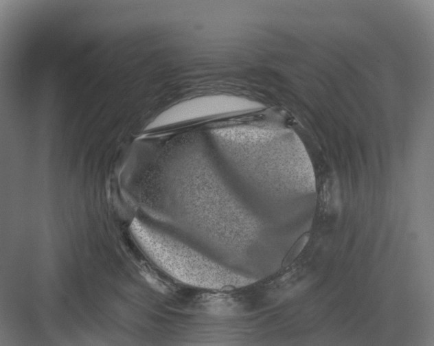 X0000082760424200702162030