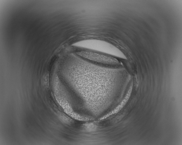 X0000082760425200702162030