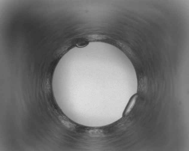 X0000082760426200702162030