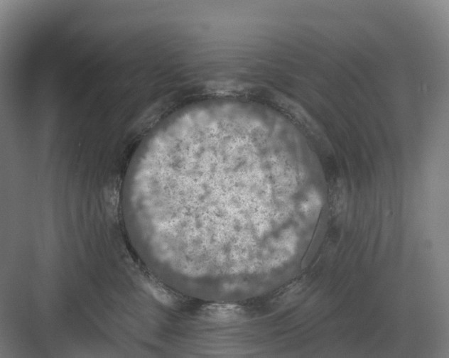 X0000082760427200702162030