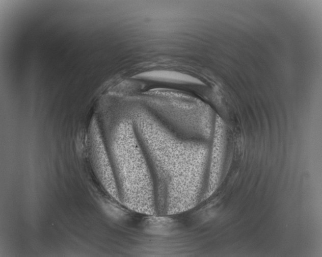 X0000082760429200702162030