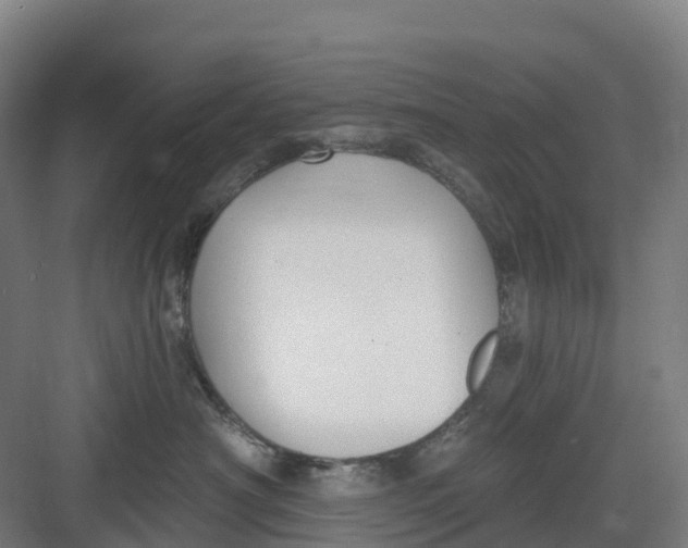 X0000082760430200702162030