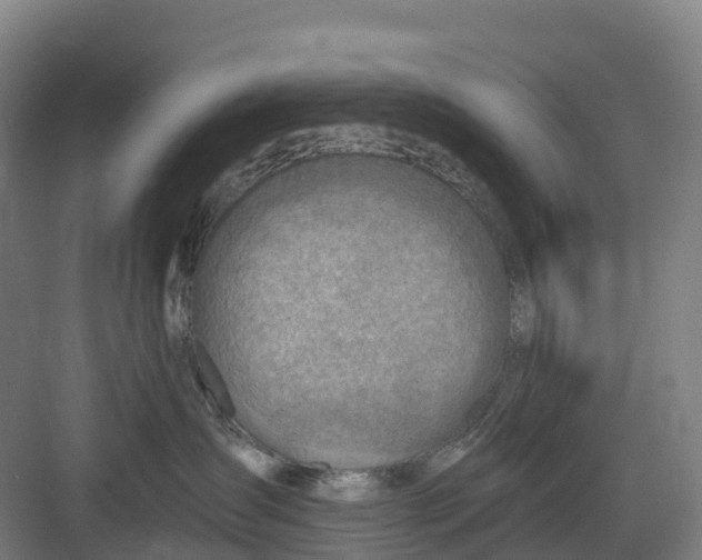 X0000082760431200702162030