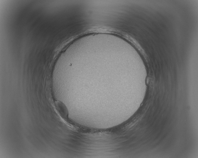 X0000082760433200702162029