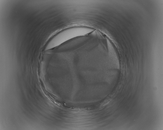 X0000082760434200702162029