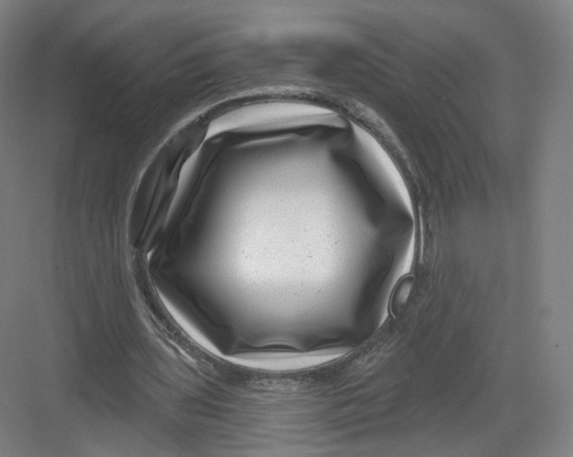 X0000082760435200702162029