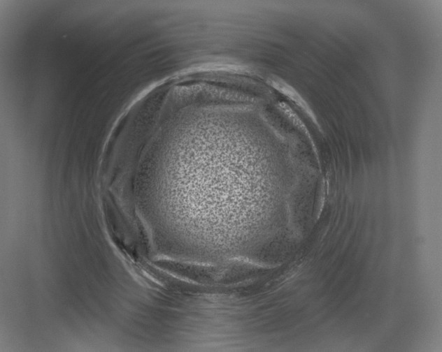 X0000082760436200702162029