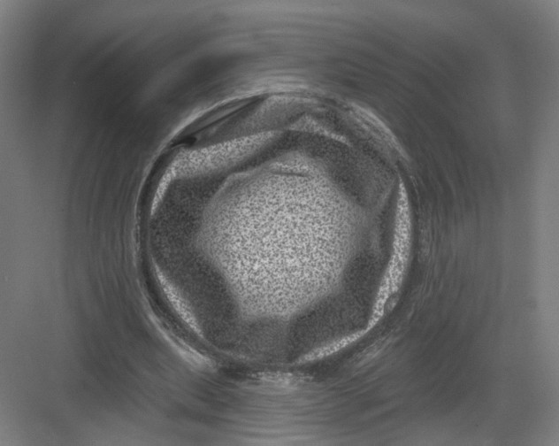 X0000082760439200702162029