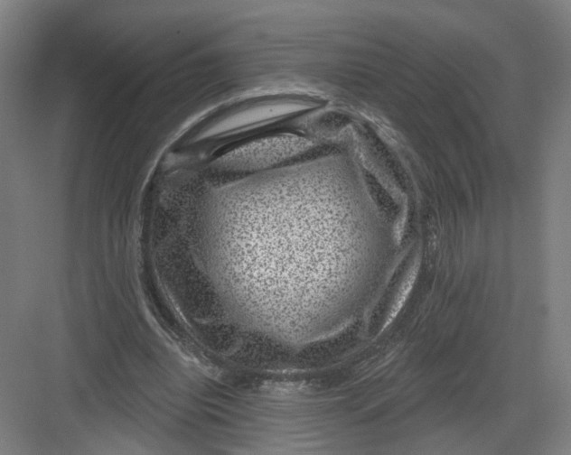 X0000082760440200702162029