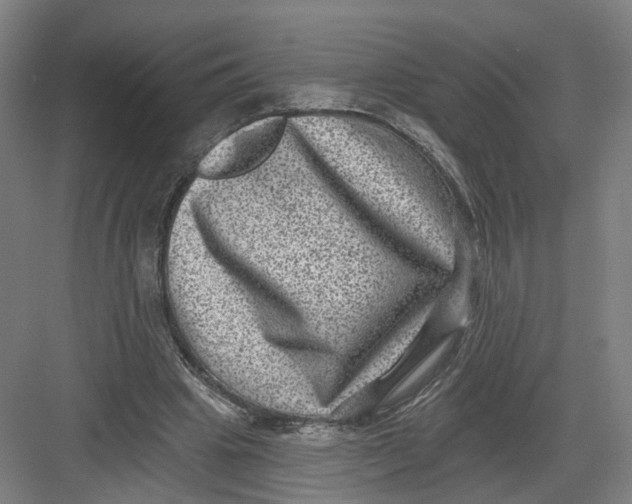 X0000082760441200702162029