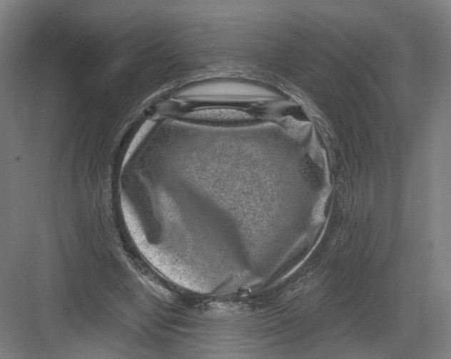 X0000082760442200702162029