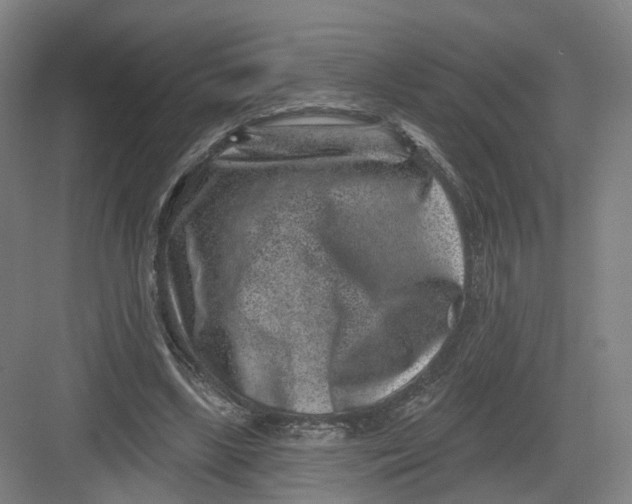 X0000082760443200702162029