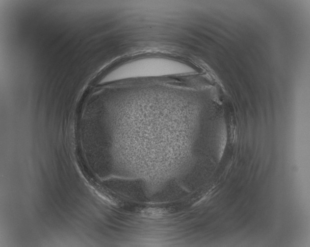 X0000082760444200702162029