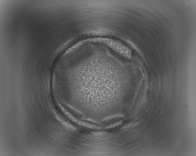 X0000082760446200702162029