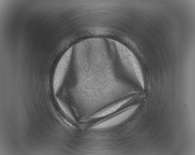 X0000082760447200702162029