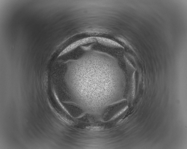 X0000082760448200702162029