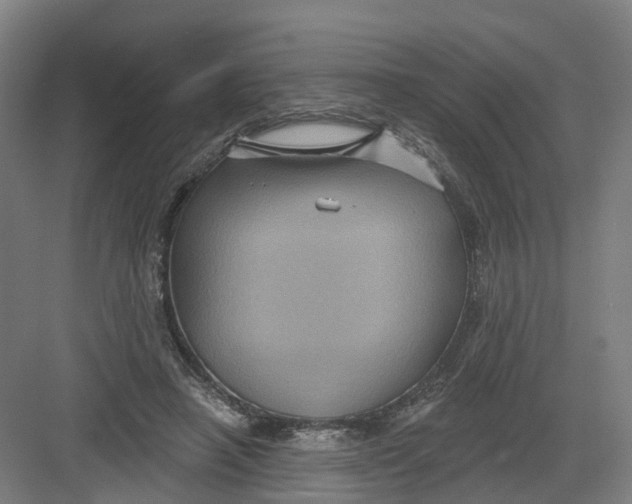 X0000082760450200702162029