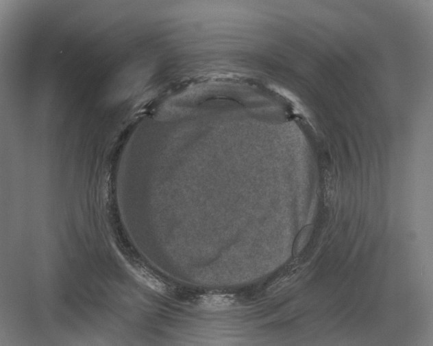 X0000082760451200702162029