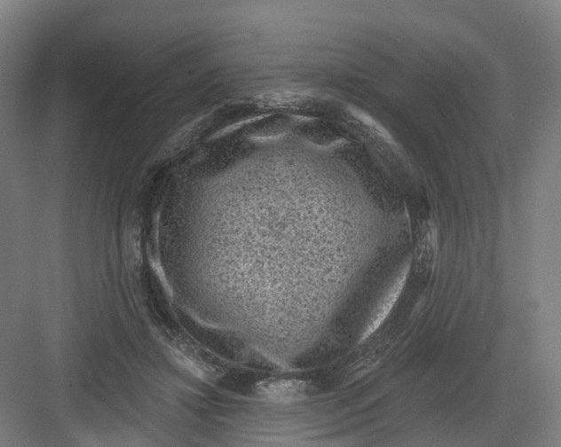 X0000082760452200702162029