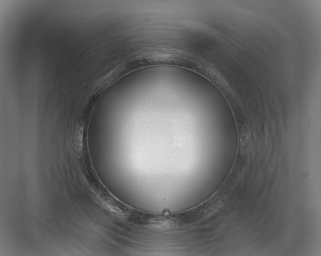 X0000082760454200702162030