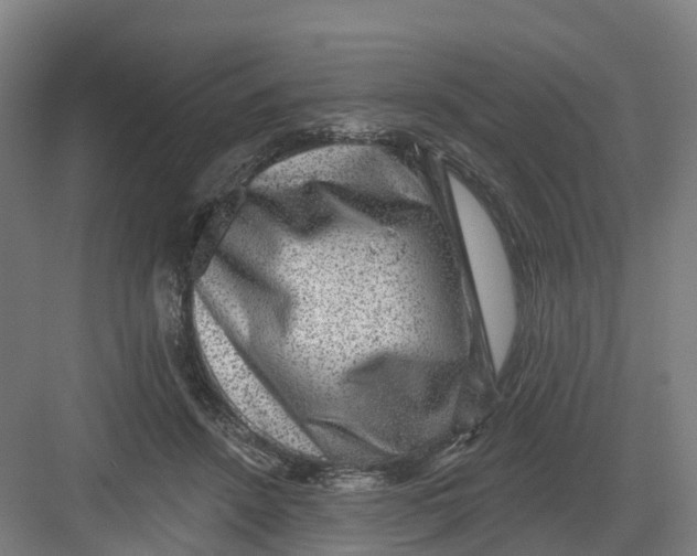 X0000082760456200702162030