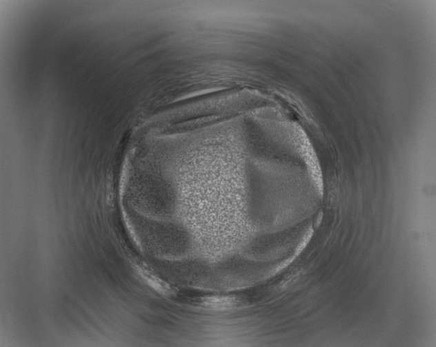 X0000082760457200702162030