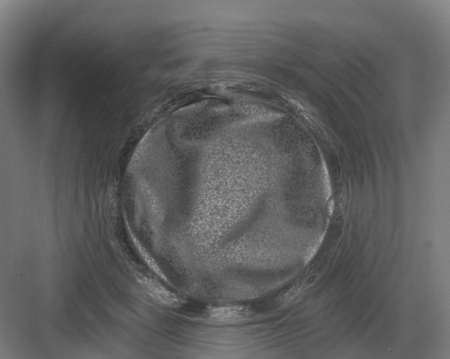 X0000082760461200702162030