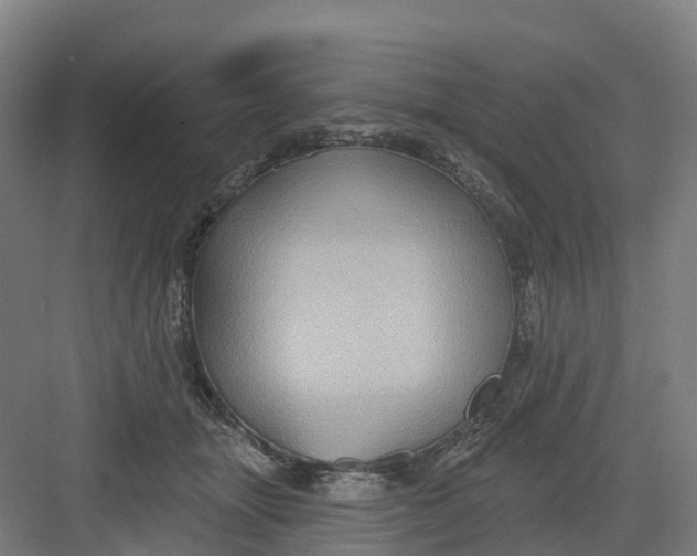 X0000082760463200702162030