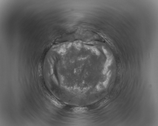 X0000082760465200702162030