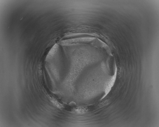 X0000082760466200702162030