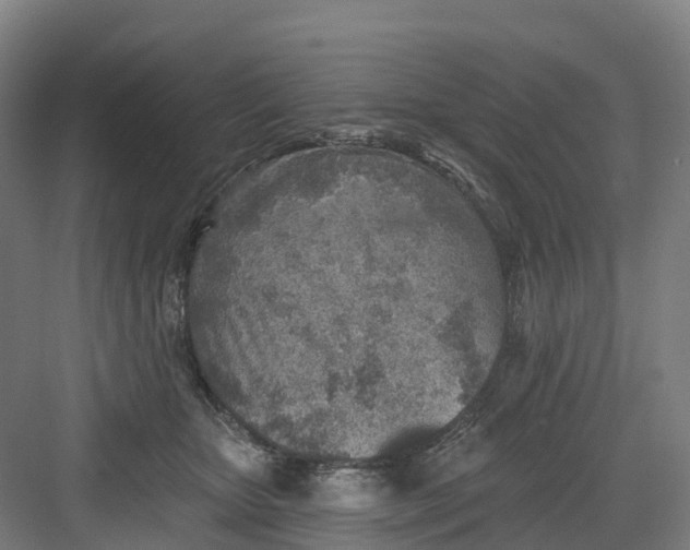 X0000082760467200702162030