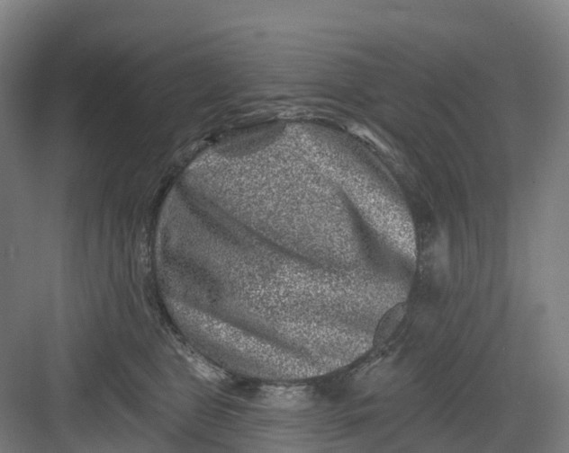 X0000082760469200702162030