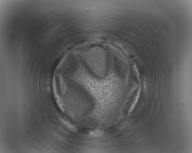 X0000082760470200702162030