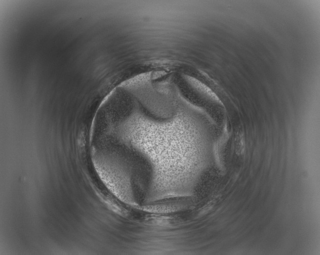 X0000082760472200702162030