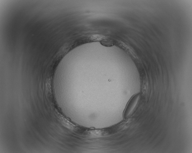 X0000082760473200702162030