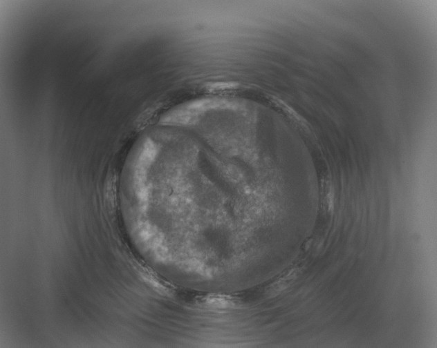 X0000082760475200702162030