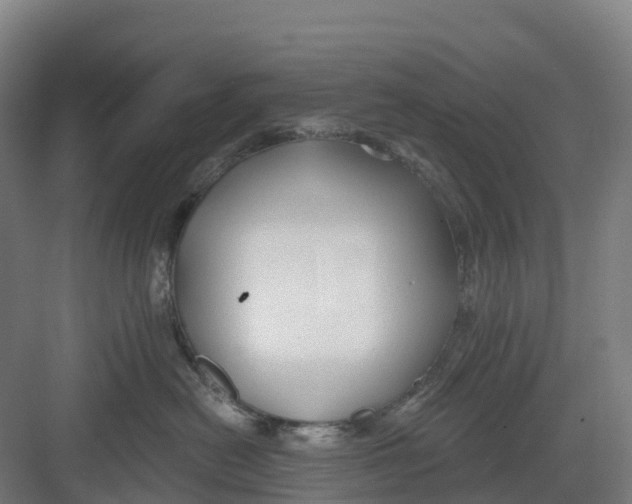 X0000082760478200702162030