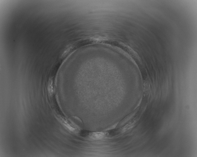 X0000082760479200702162030