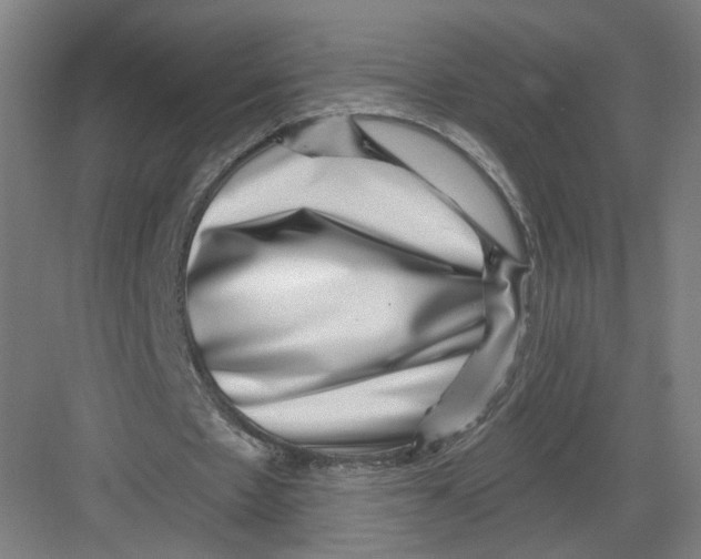 X0000082760481200702162029