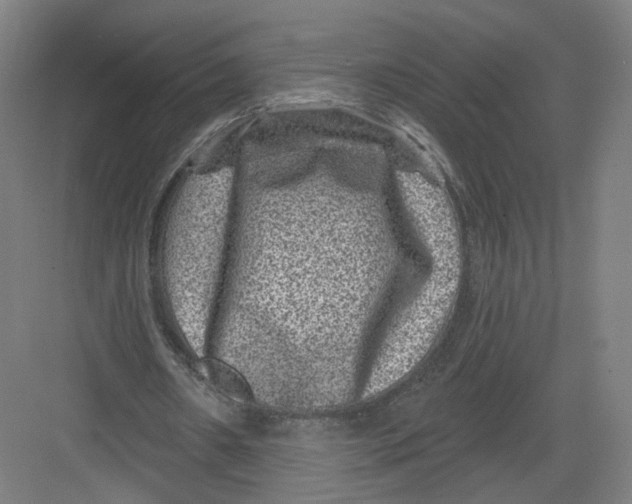 X0000082760482200702162029