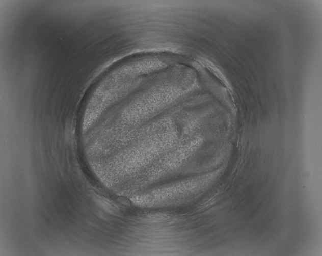 X0000082760483200702162029