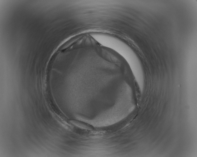 X0000082760484200702162029