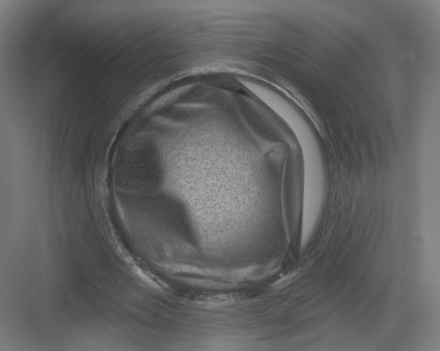 X0000082760485200702162029