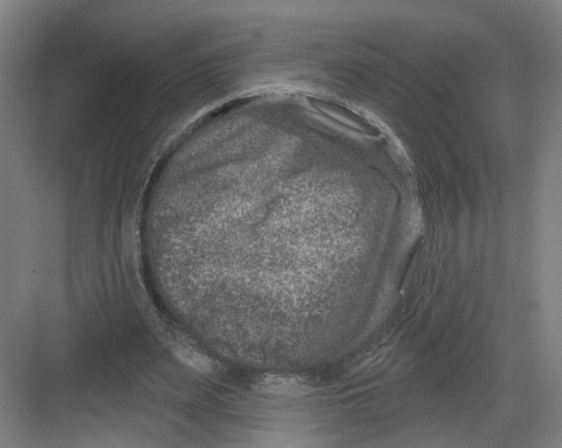 X0000082760487200702162029