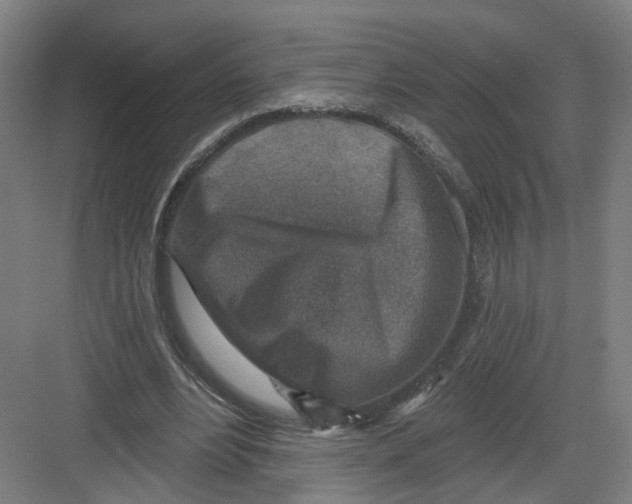 X0000082760488200702162029