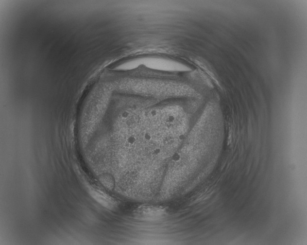 X0000082760491200702162029