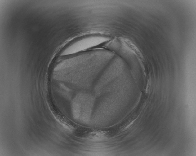 X0000082760492200702162029